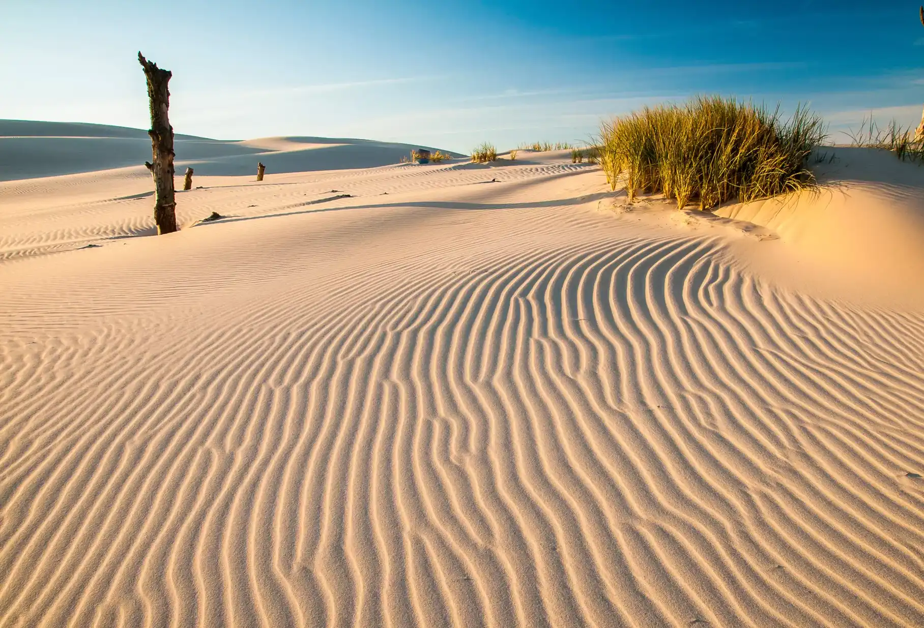 Ruchome wydmy w Łebie – polska Sahara nad Bałtykiem